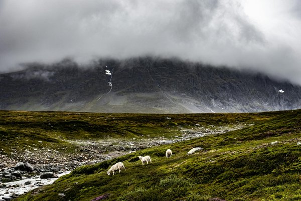 Alimentation et bien-être à bord : Découvrez le régime sain de nos croisières wellness