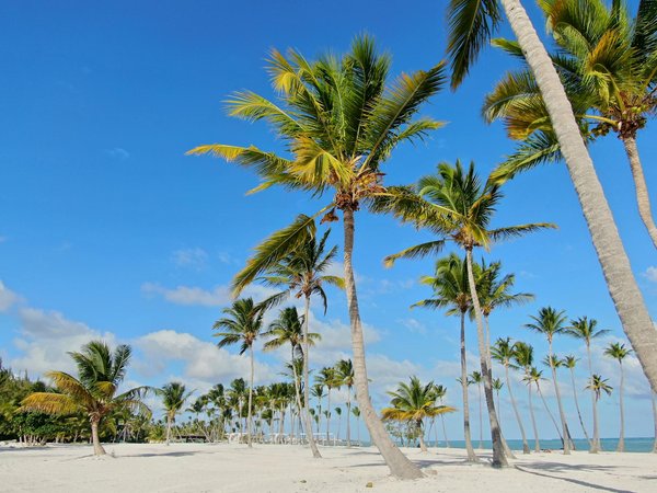 Découvrez Comment Trouver les Offres de Dernière Minute Idéales pour Vos Vacances !